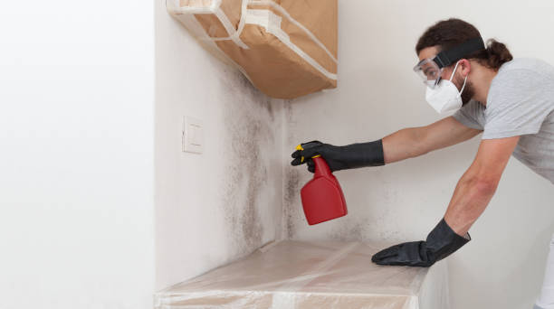 Professional Mold Removal technician working in Haworth, NJ