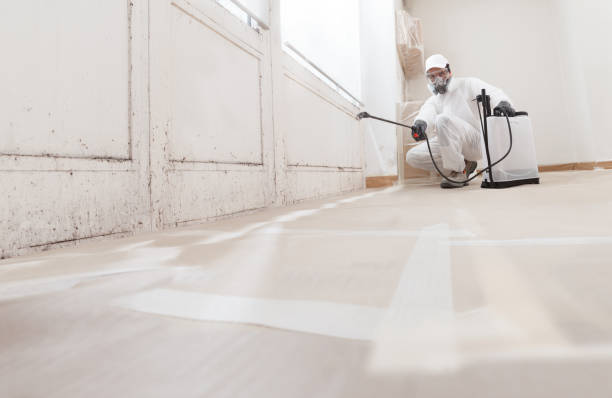 24/7 Emergency Mold Removal experts in Haworth, NJ